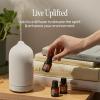 imageCliganic Organic Aromatherapy Essential Oils Gift Set Top 8  The Iconics 100 Pure  Peppermint Lavender Eucalyptus Tea Tree Lemongrass Rosemary Frankincense ampamp Orange Packaging May Vary016 Fl Oz Pack of 8