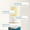 imageCliganic Organic Lip Balm Set 6 Flavors  100 Natural Hydrating Moisturizing for Dry Cracked Lips for Men ampamp WomenRainforest Fresh