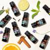 imageCliganic Clean Breeze Essential Oil Blend  Natural Aromatherapy Oil for Diffuser Steam Distilled  NonGMO VerifiedDeep Breaths