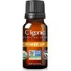 imageCliganic Clean Breeze Essential Oil Blend  Natural Aromatherapy Oil for Diffuser Steam Distilled  NonGMO VerifiedPower Up