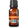 imageCliganic Clean Breeze Essential Oil Blend  Natural Aromatherapy Oil for Diffuser Steam Distilled  NonGMO VerifiedReinforce