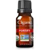 imageCliganic Clean Breeze Essential Oil Blend  Natural Aromatherapy Oil for Diffuser Steam Distilled  NonGMO VerifiedWell Being