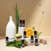 imageCliganic Organic Peppermint Essential Oil  100 Pure Natural for Aromatherapy Diffuser  NonGMO Verified Packaging May VaryCitronella