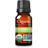 imageCliganic Organic Peppermint Essential Oil  100 Pure Natural for Aromatherapy Diffuser  NonGMO Verified Packaging May VaryCoriander