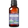 imageCliganic Organic Peppermint Essential Oil  100 Pure Natural for Aromatherapy Diffuser  NonGMO Verified Packaging May VaryLavender