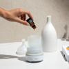 imageCliganic Organic Peppermint Essential Oil  100 Pure Natural for Aromatherapy Diffuser  NonGMO Verified Packaging May VaryLemon