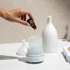 imageCliganic Organic Peppermint Essential Oil  100 Pure Natural for Aromatherapy Diffuser  NonGMO Verified Packaging May VaryTea Tree