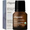 imageCliganic Clean Breeze Essential Oil Blend  Natural Aromatherapy Oil for Diffuser Steam Distilled  NonGMO VerifiedHappily Grounded
