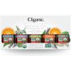 imageCliganic Organic Essential Oils Set Top 5  The Classics  100 Pure Natural  Aromatherapy Candle Making  Peppermint Lavender Eucalyptus Lemongrass ampamp Orange Packaging May Vary051 Fl Oz Pack of 5