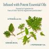 image:imageCliganic Mosquito Repellent Pack 2 Clips  4 Refill Pellets  Natural DEETFree Essential Oil Infused1 Count Pack of 1