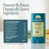 image:imageCliganic Mosquito Repellent Stick for Adults amp Kids  5 Hours of Natural DEETFree Protection NonGMO Verified with Organically Grown Ingredients amp Essential Oils Easy to Use Travel Stick1 Count Pack of 1